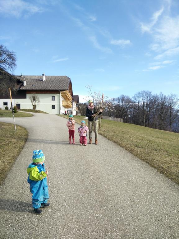 Apartamento Panoramahof Manzberg Mondsee Exterior foto