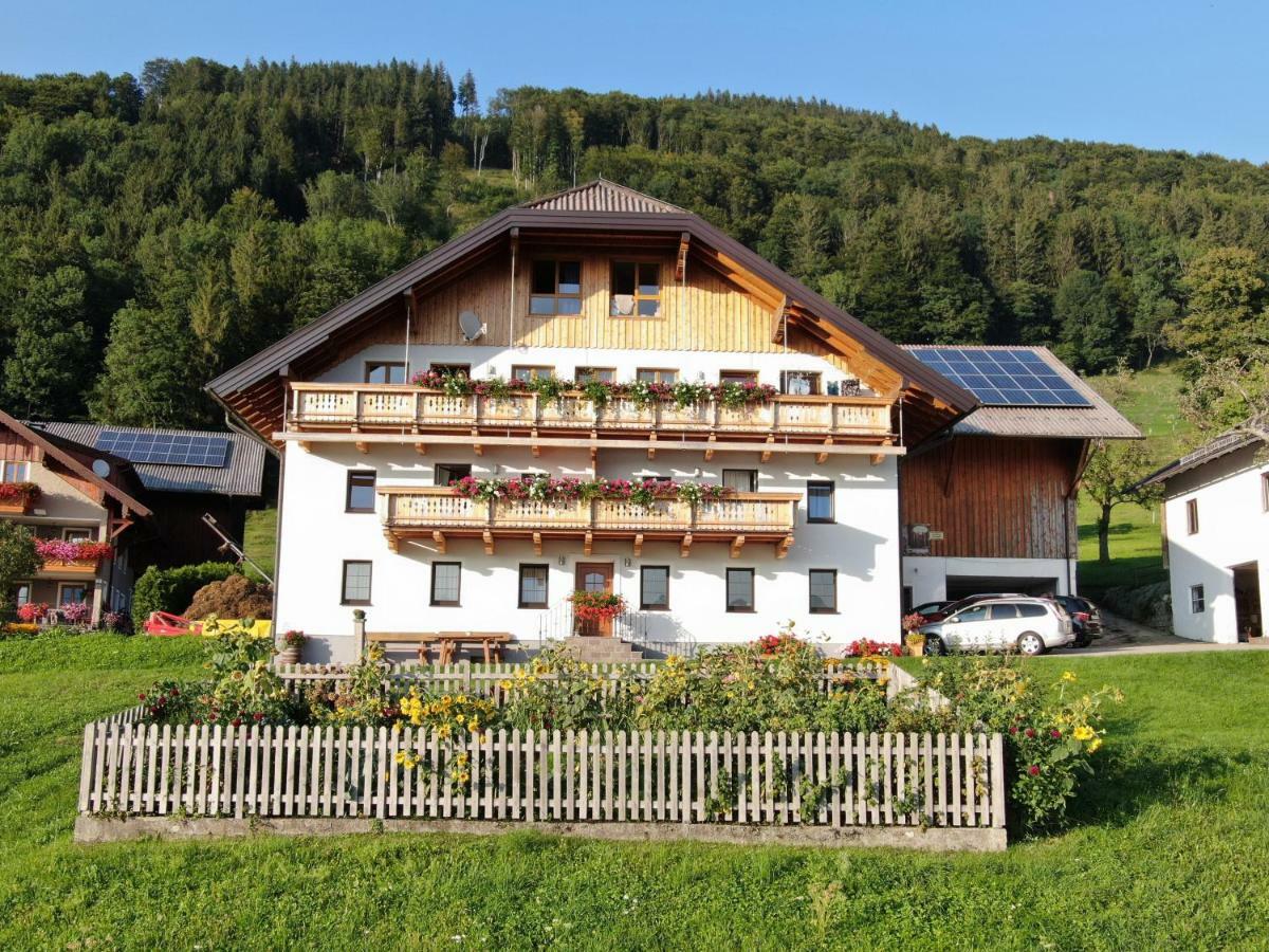 Apartamento Panoramahof Manzberg Mondsee Exterior foto